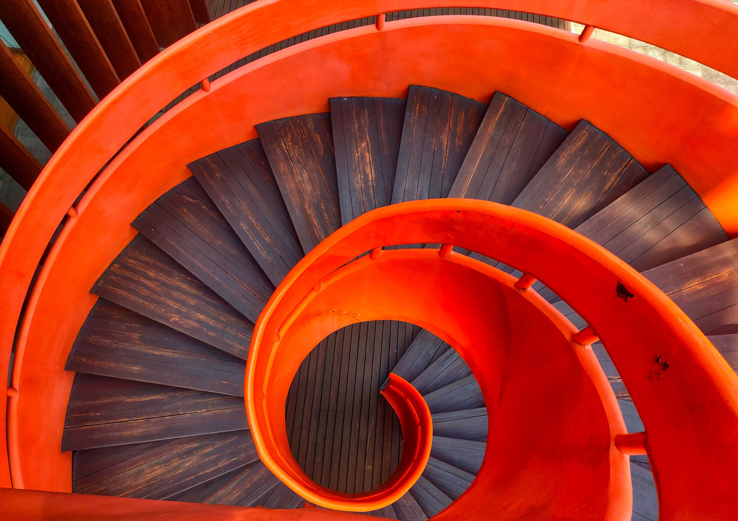 AdvisoryMatters – November 2024
