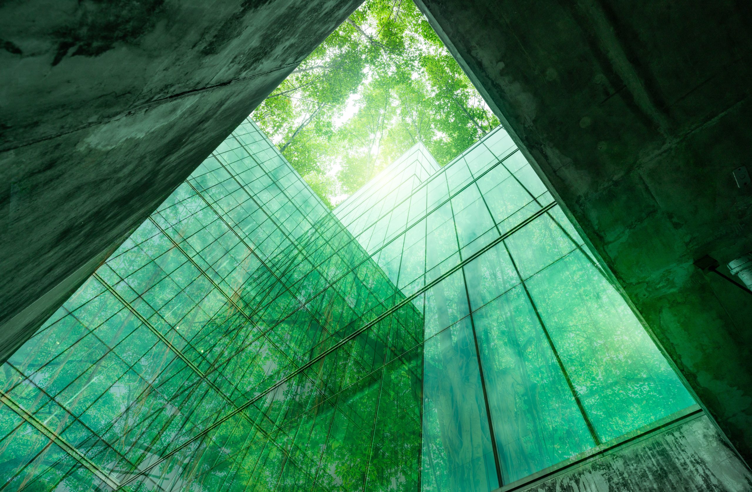 UK Sustainability Reporting Standards