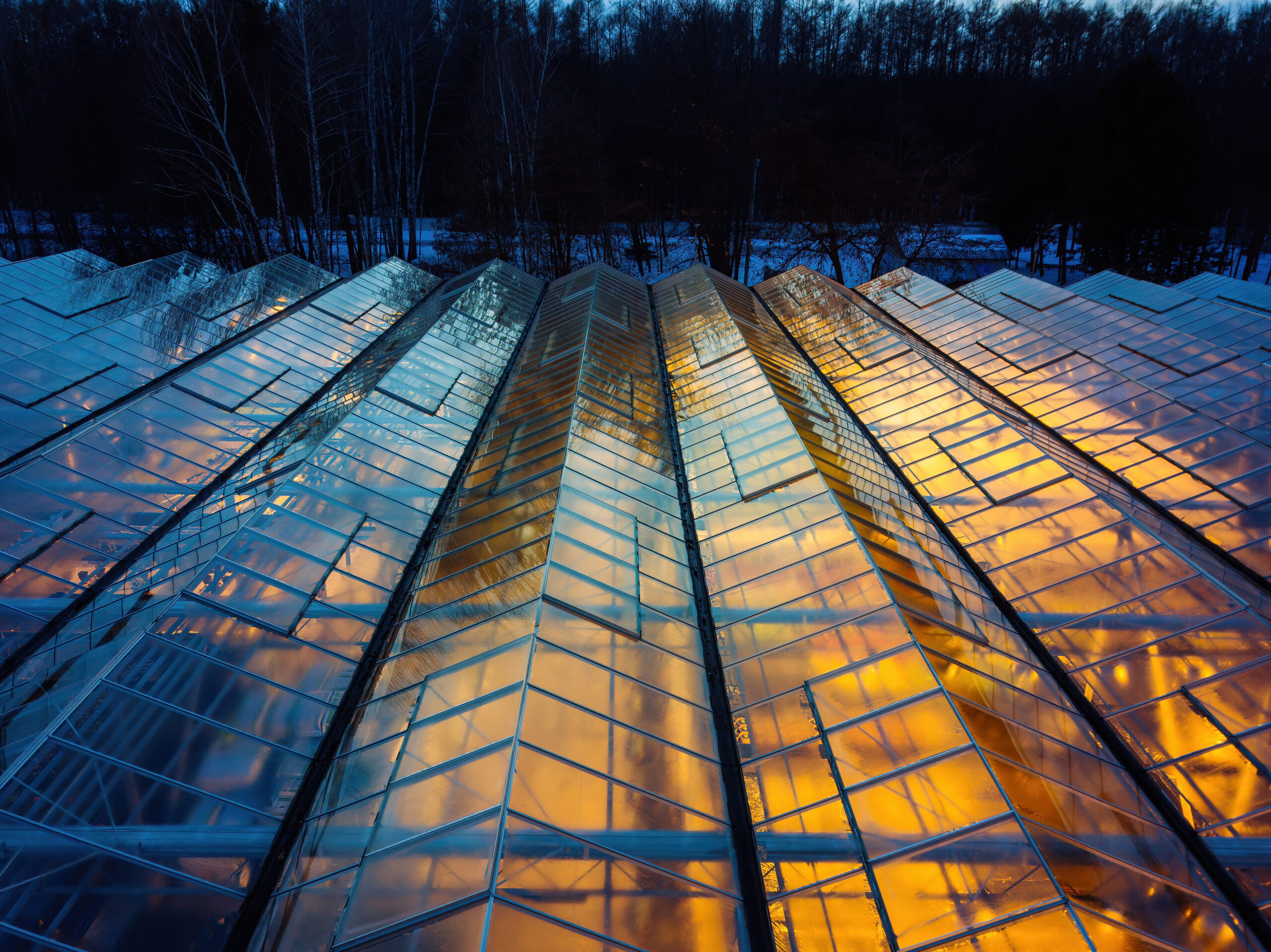 Glass greenhouse roofs illuminated at dusk, viewed from above